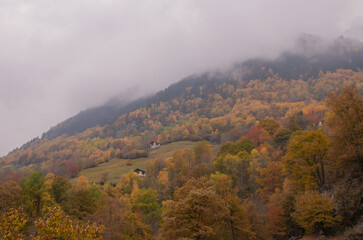 Autumn in the swiss alps.