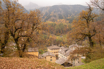 Fototapeta premium The wonderful chestnut season has started.