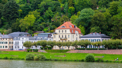 historische Villa in Heidelberg am Neckar - obrazy, fototapety, plakaty