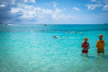 Cercles muraux Plage de Seven Mile, Grand Cayman Nageurs dans la mer des Caraïbes lors d& 39 une compétition par Seven Mile Beach, Grand Cayman, Cayman Islands