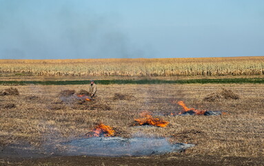 incineration of agricultural waste - smog and pollution. Harmful emissions from burning hay and straw in agricultural fields