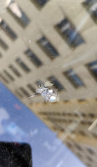 Chipping on the windshield of the car.