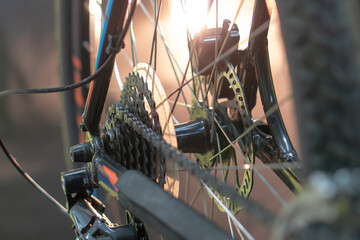 Mountain bike repair. Various parts of a modern bicycle close-up. A rear wheel, a rusty chain and a dirty tire on the bike.