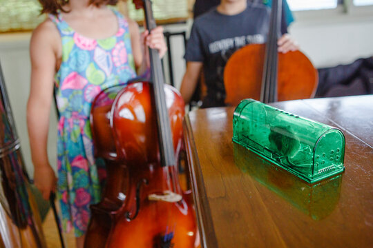 two children with cellos start at mouse on table in green box