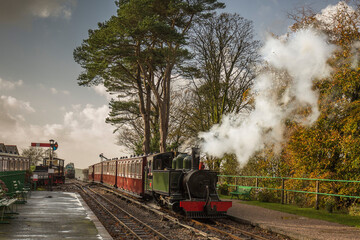Fototapeta na wymiar Steam Train coming into a English countryside station.