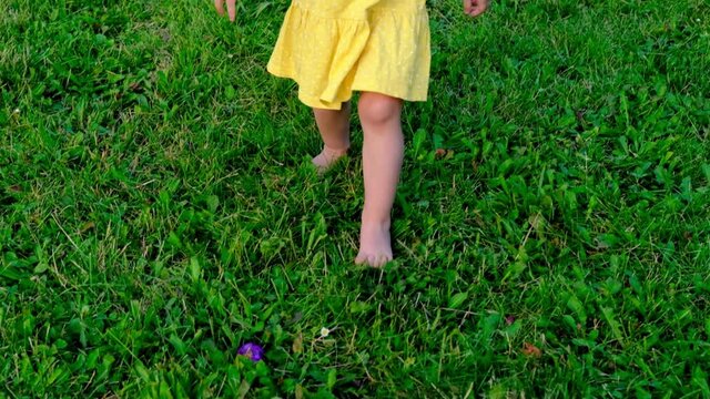 small child, blonde girl 2 years old in yellow dress runs barefoot on green grass in meadow, pick up hidden colored eggs, concept of childhood, traditional activity, fun games for Easter holiday