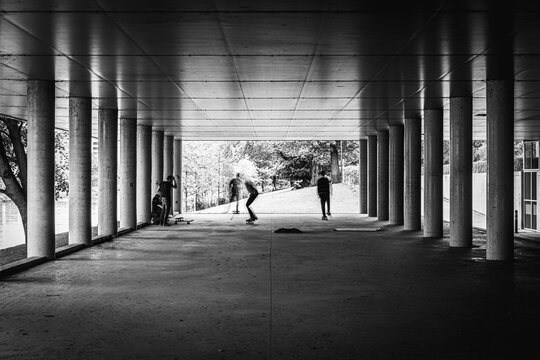 Piler Bilder Durchsuchen 1,160 Archivfotos, und Videos