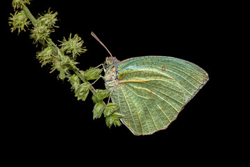 Hanging in the dark :)