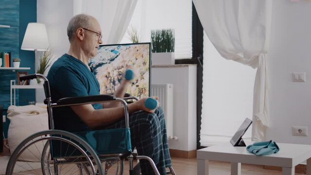 Retired adult with disability lifting dumbbells and watching video of online training program. Aged man sitting in wheelchair and following workout lesson to work arms muscles with weights