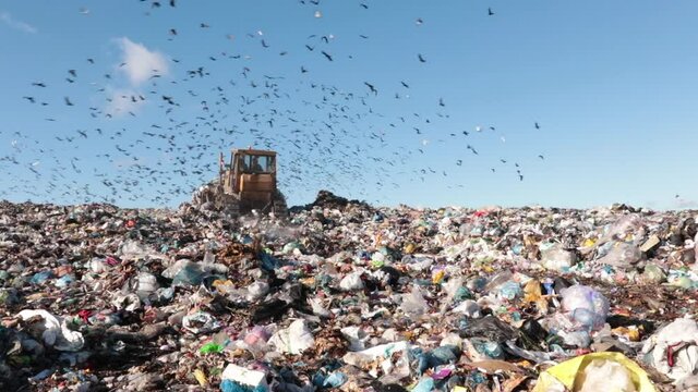 View of a large landfill on which a birds flies. Ecology, pollution, garbage, cleaning, work, dirty, urban landscape