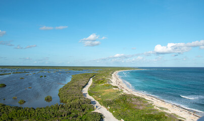 Aerial view of mangrove by the sea in Cozumel island