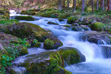 Stream in the Tatras