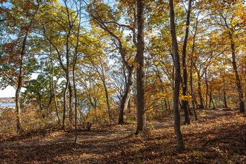 Obraz premium Autumn hiking trail