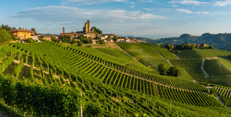 The beautiful village of Serralunga d'Alba and its vineyards in the Langhe region of Piedmont, Italy. - 469990606