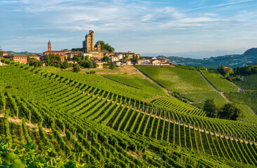 Fototapeta na wymiar The beautiful village of Serralunga d'Alba and its vineyards in the Langhe region of Piedmont, Italy.