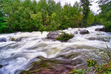 smooth white water in a river through a forest with large rocks in it
