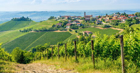 Fototapeta na wymiar Beautiful hills and vineyards surrounding Treiso, in the Langhe region. Cuneo, Piedmont, Italy.