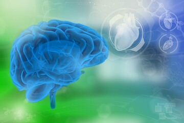 Human brain, cerebrum discovery concept - detailed modern background, medical 3D illustration