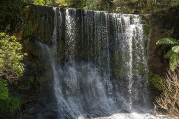 Obraz premium View of Mokoroa Waterfalls, Auckland New Zealand