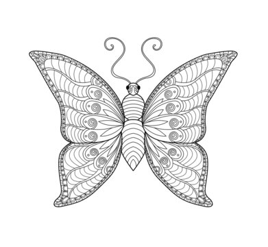 Butterfly coloring page. Black and white line art. Coloring book for adults.