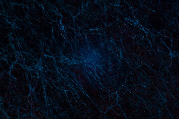 macro photography abstract blue natural texture neural network mold