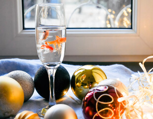 Fototapeta na wymiar glass of water with gold fish