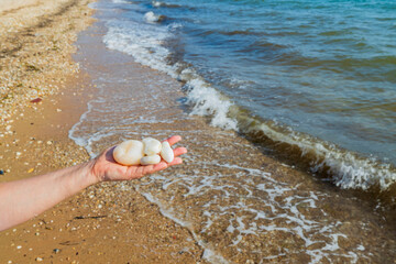 Beautiful view of white stones lying on palm in hand of a man on seashore. Greece.