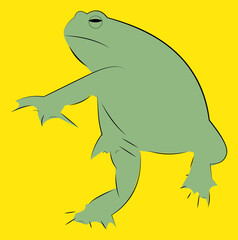 Sketch Amphibian without tail, with smooth shiny skin, stubby trunk, large head and bulging eyes