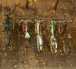Parked bikes in the asphalt