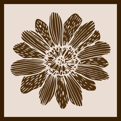 Sketch of the Adonis plant in a simple style, sepia botanical poster in Scandinavian style, rustic simple perspective.The imprint of the medicinal flower of Adonis - obrazy, fototapety, plakaty