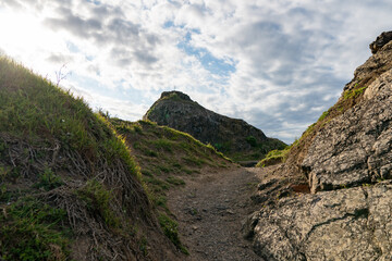 Beach landscape at Goat Island Marine Reserve of New Zealand
