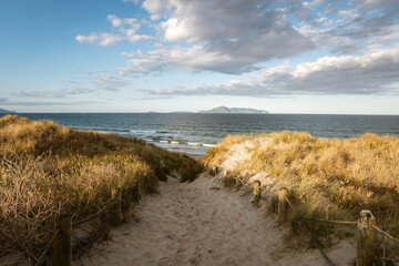 Fototapeta na wymiar Beach landscape at Goat Island Marine Reserve of New Zealand