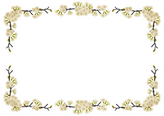 Obraz premium 桜の花と蕾のついた枝フレーム