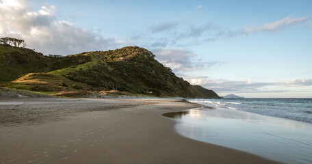 Beach landscape at Goat Island Marine Reserve of New Zealand