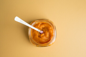 Homemade Baby Food Puree 