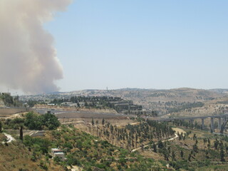Obraz premium forest fire 