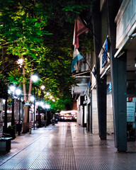 Obraz premium flags on the street