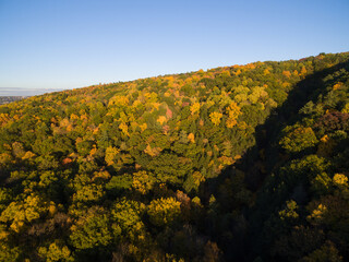 Naklejka premium Aerial of fall foliage in autumn