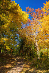 Beautiful fall color in the famous Philbrook Museum of Art