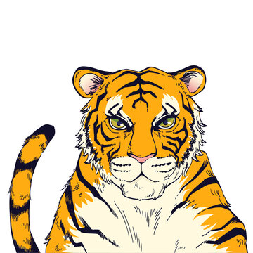 虎の手描きイラスト素材
