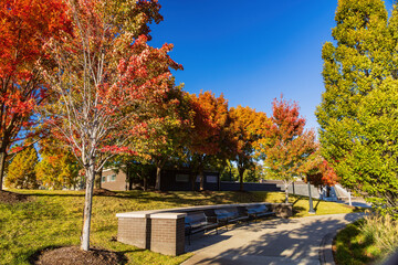 Naklejka premium Beautiful fall color at the John Hope Franklin Reconciliation Park