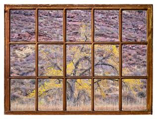 fall scenery at foothills of Colorado Rocky Mountains as seen from a vintage cabin sash window