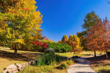 Beautiful fall color fo Veterans Park