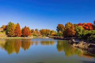 Beautiful fall color fo Veterans Park