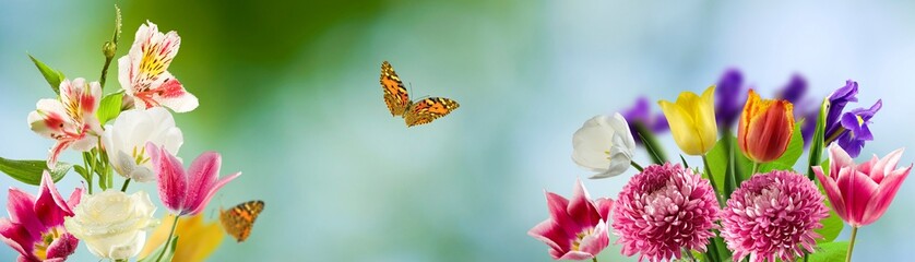 beautiful flowers in the garden on blure background closeup