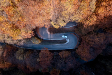 Car Driving on a Hairpin Bend in an Autumnal Forest - obrazy, fototapety, plakaty