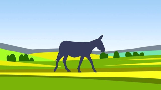 Animation with a donkey walking in the countryside, animation