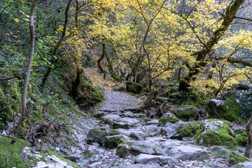 Südfrankreich im November