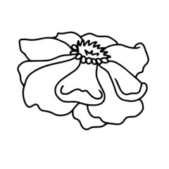 Vector botanical spring flower design in bloom