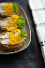 Bruschetta made of black bread with cottage cheese and persil on a stylish plate 